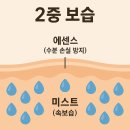 덕구살롱 | 강아지 탈모, 미용샵에서 꾸준히 관리받고 나아진 후기 (Before, After 있음)