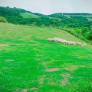 강릉폴게스트하우스 이미지