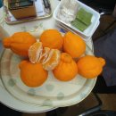 봉의농장 이미지