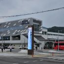 군남 은행나무 이미지