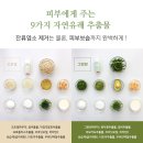 필터하우스