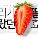 딸기짐 이미지