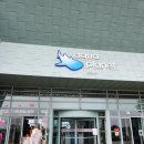 아이와 제주 비 오는 날 실내 여행 코스, 아쿠아플라넷 제주 솔직 후기