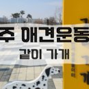 완주군 반려동물 놀이터 이미지