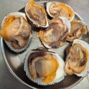 구이 찜 가자 | 청량리 조개구이찜 후기｜영하 14도에 낮술 시동 걸린 조개찜 맛집