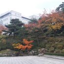 천주 이미지