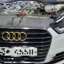 고아카센타 이미지