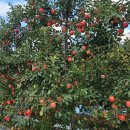 한성농원 이미지