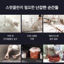 클린히트 이미지