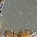 제일실내마차 이미지