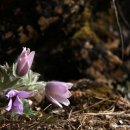 문산2리 이미지