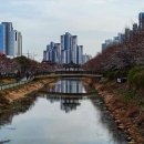 서운체육공원 이미지