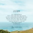 금상첨화 이미지