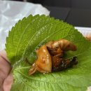 닥치고곱창 티스토리