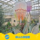 정원산책 카페 | 안산 아이와 가볼만한곳 유니스의정원 식물원 카페 후기