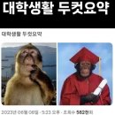 (주)수현디자인 | 유졸-&gt; 초졸 -&gt; 중졸 -&gt; 고졸 -&gt; 대졸