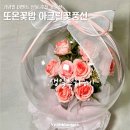 기념일 이벤트 선물 추천 또온꽃방 아크릴 꽃풍선 아크릴풍선