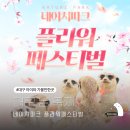 플라워1080