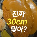 왕돈까스 티스토리