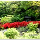 두척계곡 이미지