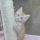 아이러브펫동물병원 이미지