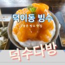 덕이동카페 숲속뷰 야외테라스 사계절 내내 빙수 덕수다방 홍시빙수 맛본후기