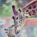 색연필 드로잉 시작하기 이미지