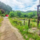 횡성 숙박 숲속에서 힐링하고 온 태기산아침의새소리