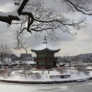 자유세상