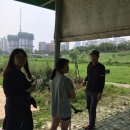 자이언트아처리 | 컴파운드보우레슨/목동/영학정/김포자이언트아처리