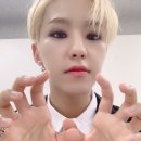 라멘트럭랩 이미지