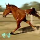 최부짱 이미지