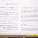 미륵산성 Daum카페