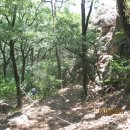 표교초교 이미지