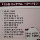 고덕헤리움시그니어 | 오케타니 평택점 마사지 후기 (유선염..)