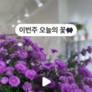 엘제이플라워샵 이미지