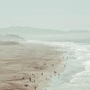 바다;비