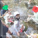 소백산 | [영주 여행] 아이와 함께한 소백산 삼가야영장 하우스 후기(A-09)