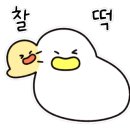 나인모터스 이미지