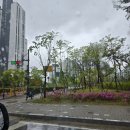 속리산365캠핑장 | 올해 첫 캠핑..우중캠핑?(속리산365캠핑장 후기)