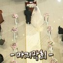 3월의 신부가 쓰는 월드컵컨벤션 임페리얼볼룸홀 후기👰🏻‍♀️🤵🏻🫶🏻
