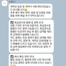 수필 | 광주 본식스냅 수필로그 가성비 내돈내산 예약후기