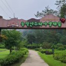 생태터널입구 이미지