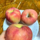 보일농수산 이미지