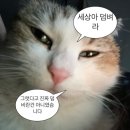 아트리움컨벤션