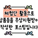뽀러브디자인