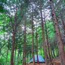 주작산자연휴양림 야영장 / 야영데크 캠핑후기