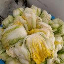 김장 하는날 이미지