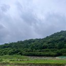 금동굴 황토 참숯가마 | 함안 &lt;금동굴&gt; 진짜 동굴에서 식사 할수있는 이색 식당 부모님이 좋아하실 만한 식당