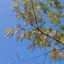 나래솔공원 이미지